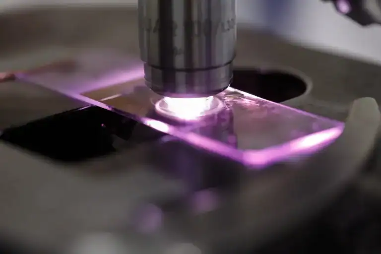 MEDV Histo 0817 8050