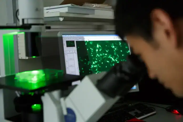 MEDV Zhou Fluo 0817 50