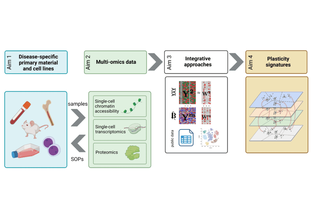 GraphicalAbstract Z03