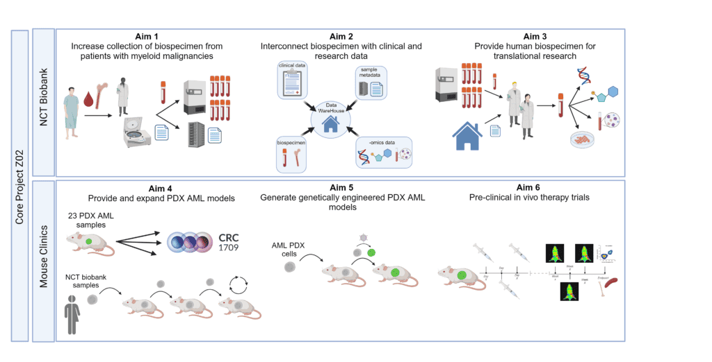 SFB Z02 graphical abstract final